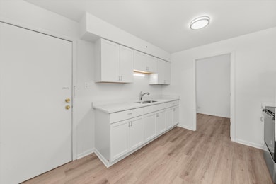 unlisted-address, Chicago, IL 60629 - photo 3