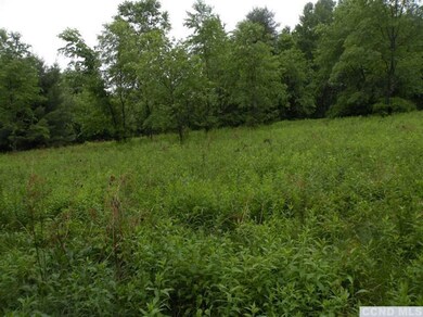 0 Maple Dr, Canaan, NY 12060 - photo 2