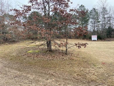 1136 E Wellsgate Dr, Oxford, MS 38655 - photo 2