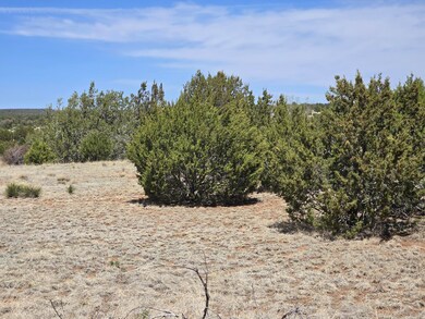 0 Oakwood Rd unit 2, Tajique, NM 87016 - photo 7