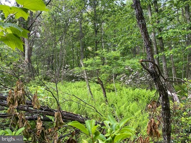 Lot 69 Helmick Rock Run, Lost River, WV 26812 - photo 5