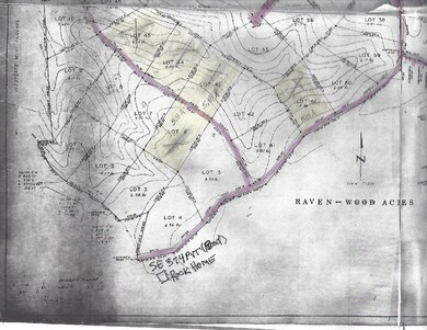 ravenwood acres lot plat-page-001