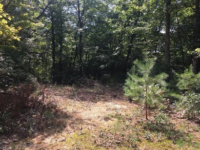 0 Pepper Bush Rd unit 919357, Purlear, NC 28665 - photo 5