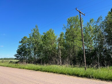 TBD Cross Park Rd, Hinckley, MN 55037 - photo 6