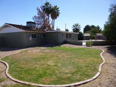 BACKYARD (4)