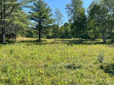 0 Little Sunapee Rd, New London, NH 03257 - photo 3