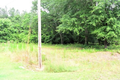 Power Pole at Lot