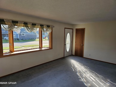909 Bradford Ave, Argyle, MN 56713 - photo 6