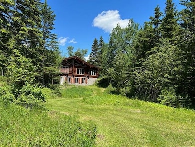 View from lake of Autumn Trail