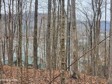 lot 21 Deer Run Point, Lafollette, TN 37766 - photo 6
