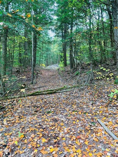 0 Meany Rd unit 4887098, Charlestown, NH 03603 - photo 4