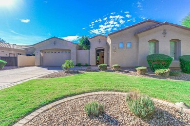 TW Lewis Basement home in Power Ranch