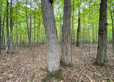 0 Tinkertown Rd unit R1651977, Tuscarora, NY 14801 - photo 2