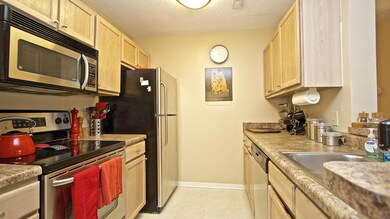 5 - I + IMG_0332