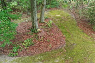 1025 Vonier Rd, Pavo, GA 31778 - photo 3