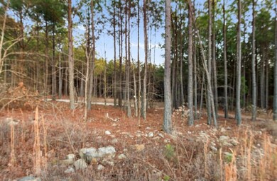 594 Timbuktu Trail, Broken Bow, OK 74728 - photo 4