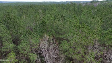 0 Mount Gilead Rd, McCall Creek, MS 39647 - photo 4