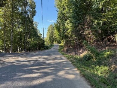 13 Mullins Cove Rd, Powells Crsrd, TN 37397 - photo 7