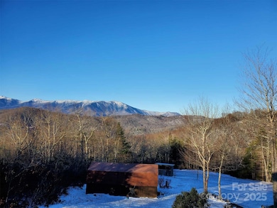 951 Pine Tree Rd, Spruce Pine, NC 28777 - photo 4