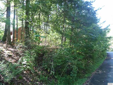 Additional View 4