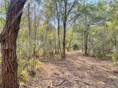 0 Buffalo Creek Rd unit 25806402, Carrollton, GA 30117 - photo 6