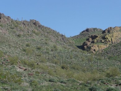 Alvamar Community Picture 3