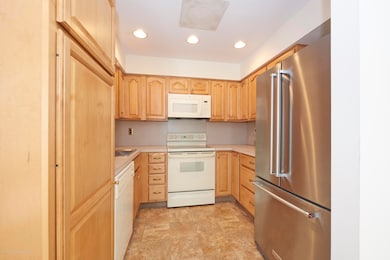 50 Cheshire Square unit A, Little Silver, NJ 07739 - photo 5