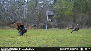 0 County Road 4210, Sallis, MS 39160 - photo 2