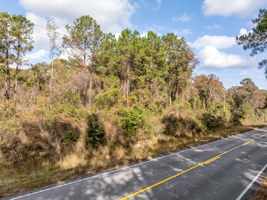 000 Hwy 11, Moselle, MS 39459 - photo 6