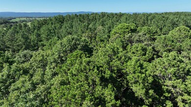 Unk Oklahoma 4, Watson, OK 74963 - photo 2