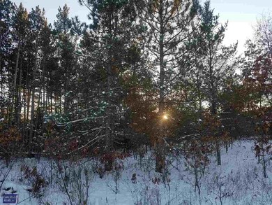 L47 Cranberry Creek Rd, Cutler, WI 54618 - photo 5