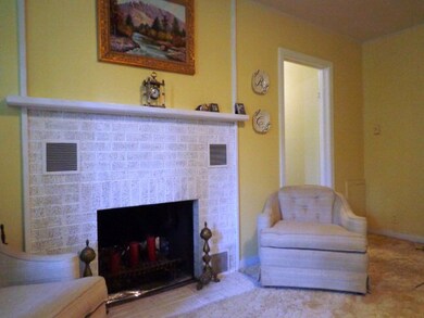 106 W Peach St, Fredericksburg, TX 78624 - photo 2