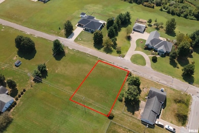 000 Eric Ln, McLeansboro, IL 62859 - photo 7