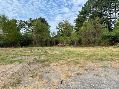 6153 Arkansas 319, Austin, AR 72007 - photo 7