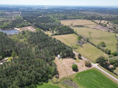 1116 Hilt Fornea Rd, Poplarville, MS 39470 - photo 6