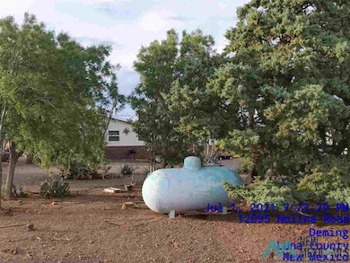 12095 Nolina Rd SE, Deming, NM 88030 - photo 7