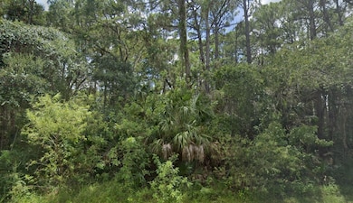 13986 Dunlap Ave, Port Charlotte, FL 33953 - photo 4