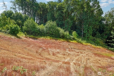 1830 Hazel Dell Rd unit Lot 3, Castle Rock, WA 98611 - photo 7