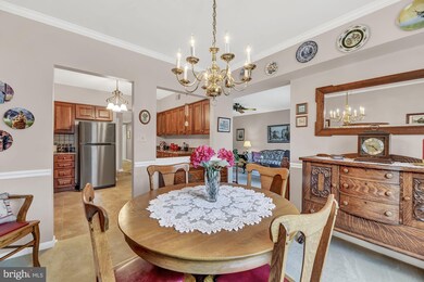 1 Elphin Ct unit 202, Lutherville Timonium, MD 21093 - photo 6