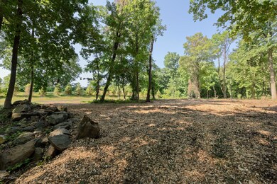 1 Greenfield Place, Greenwich, CT 06831 - photo 7