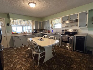 668 Union Hill Rd, Mammoth Spring, AR 72554 - photo 3