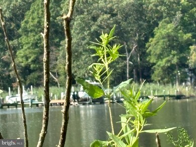 1337 W River Rd, Shady Side, MD 20764 - photo 4