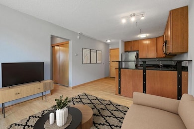 2530 1st Ave S unit N101, Minneapolis, MN 55404 - photo 3