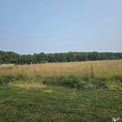8761 Wildcat Rd, Jeddo, MI 48032 - photo 5