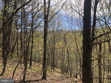 146 Ashton Woods Dr, Old Fields, WV 26836 - photo 3