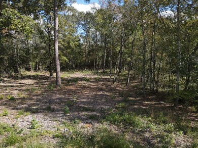 0 Crossroads unit 85841683, Splendora, TX 77372 - photo 2