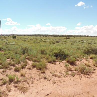 Lunsann Cupples Trail 001
