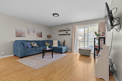 7353 Blackburn Ave unit K206, Downers Grove, IL 60516 - photo 3