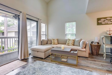 Living room with LVP-type flooring and a towering 