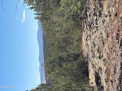 The White Mountians